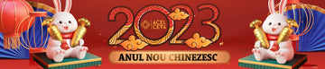 Anul Nou Chinezesc - Anul Iepurelui de Apa