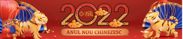 Anul Nou Chinezesc - Anul Tigrului de Apa